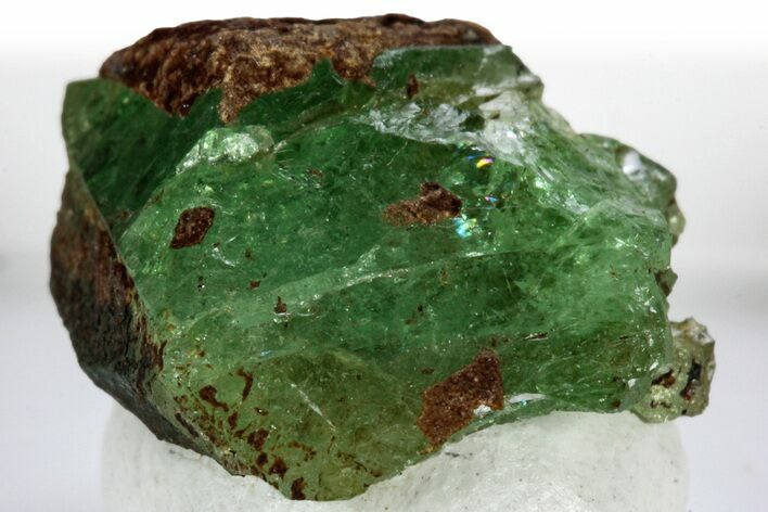 Lustrous Tsavorite Garnet Specimen - Tanzania #309558